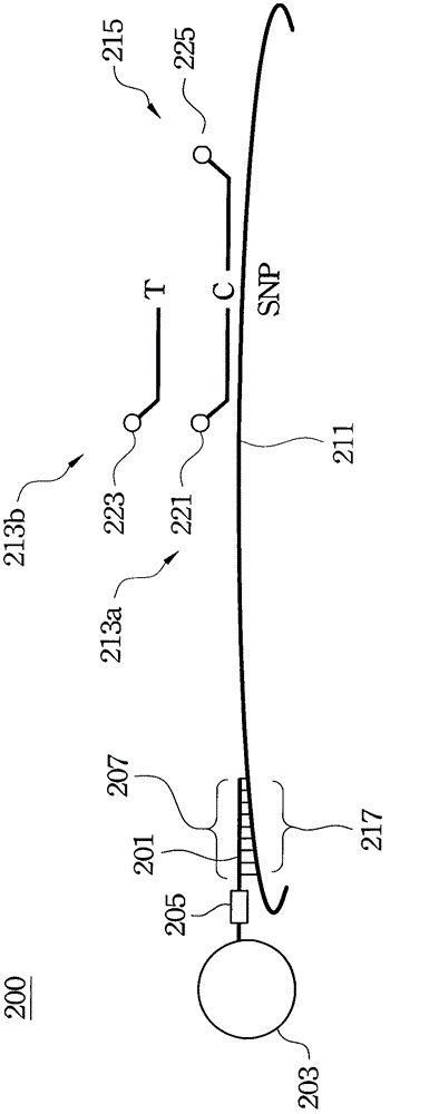 Method of analyzing target nucleic acid of biological samples