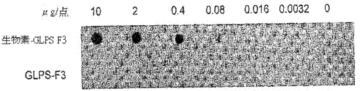 Compositions and methods for identifying response targets and treating flavivirus infection responses