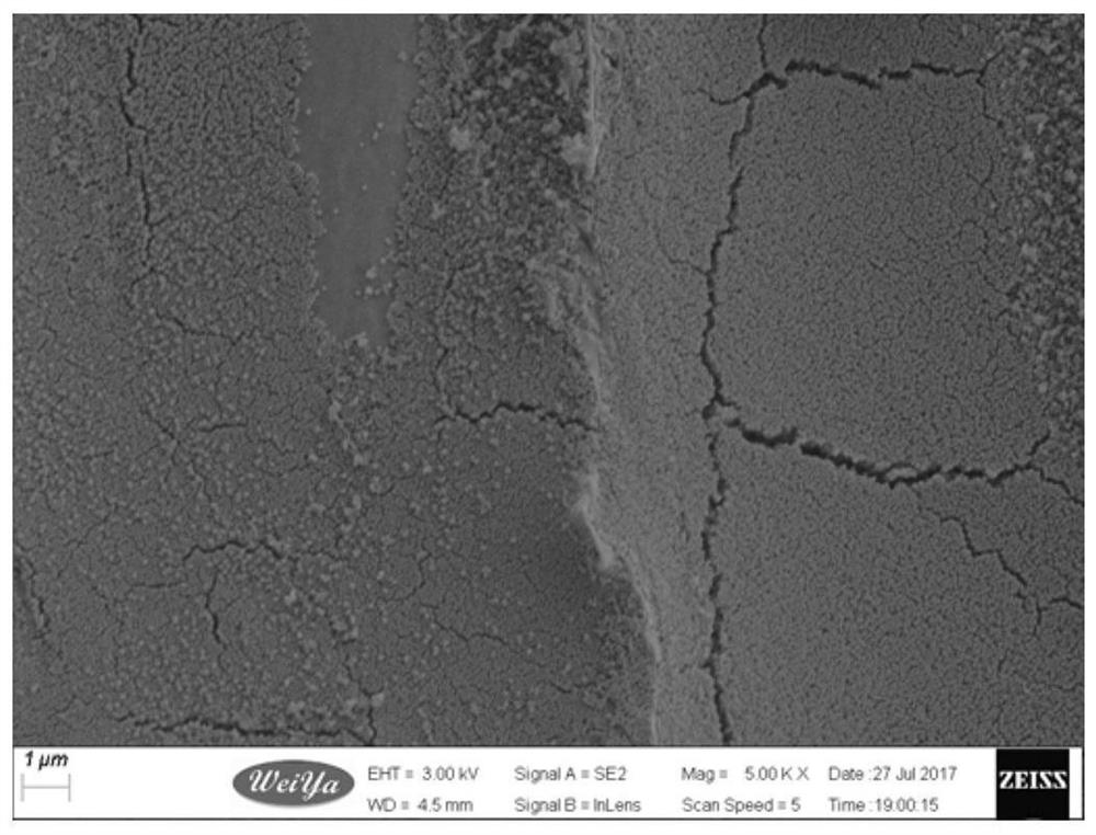 Preparation method of wood superhydrophobic bactericidal and anti-mildew functional modifier and wood modification method