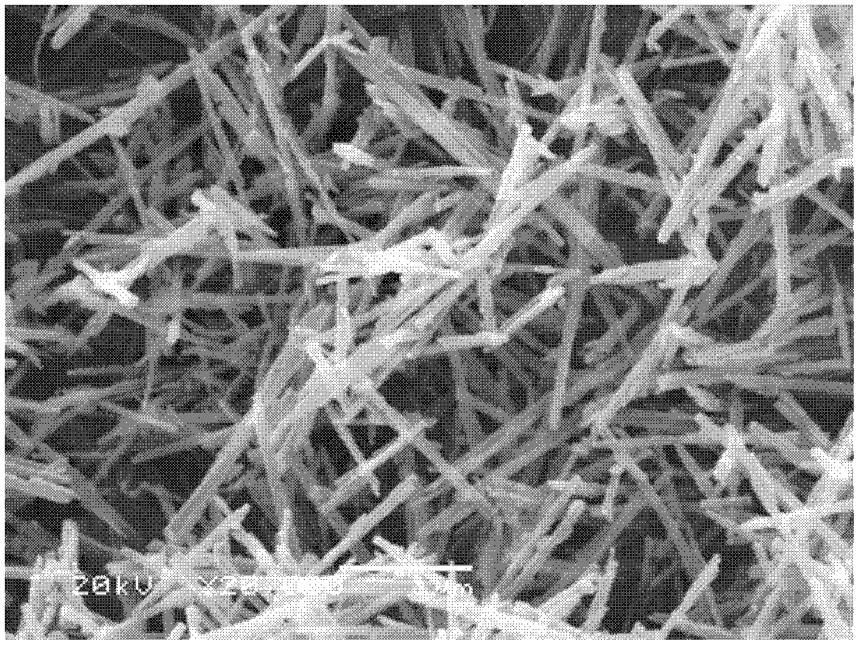 Alpha-phase manganese dioxide nano-rod, and preparation method and application thereof