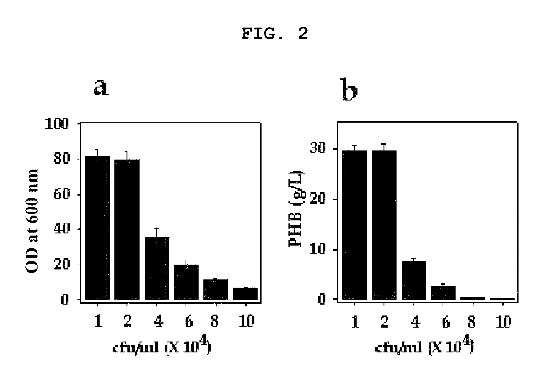 Method of overproduction of polyhydroxybutyrate