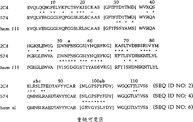 Method for identifying tumors that are responsive to treatment with anti-ErbB2 antibodies