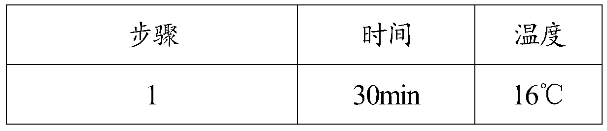 MiRNA marker for detecting non-alcoholic fatty liver, kit, application and detection method