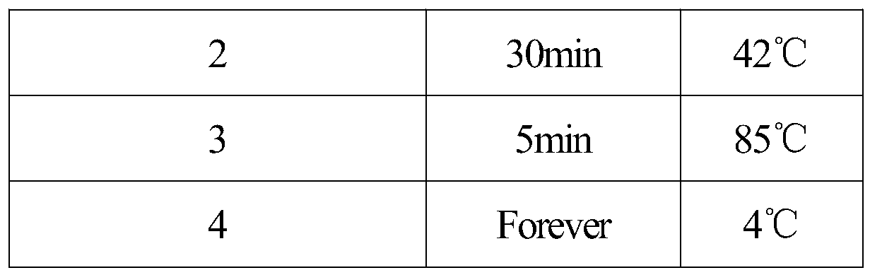 MiRNA marker for detecting non-alcoholic fatty liver, kit, application and detection method