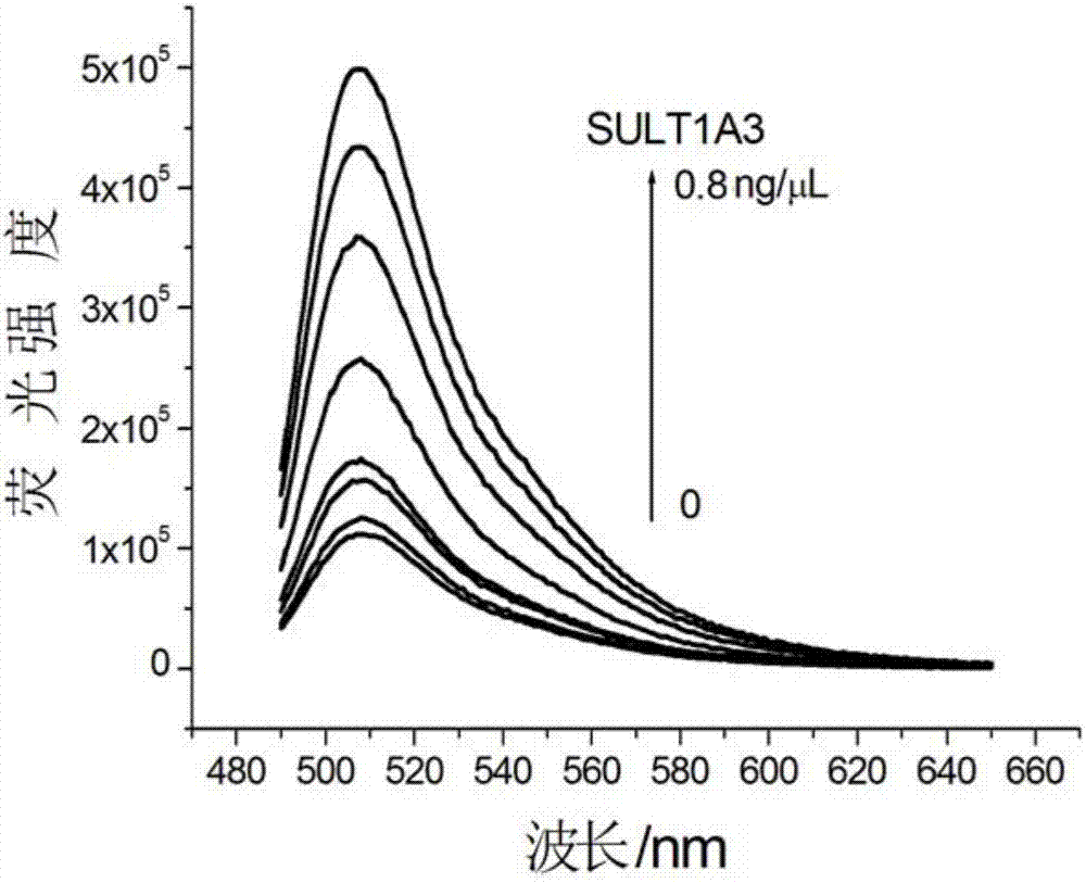 Universal sulfo-group transferase activity analysis method