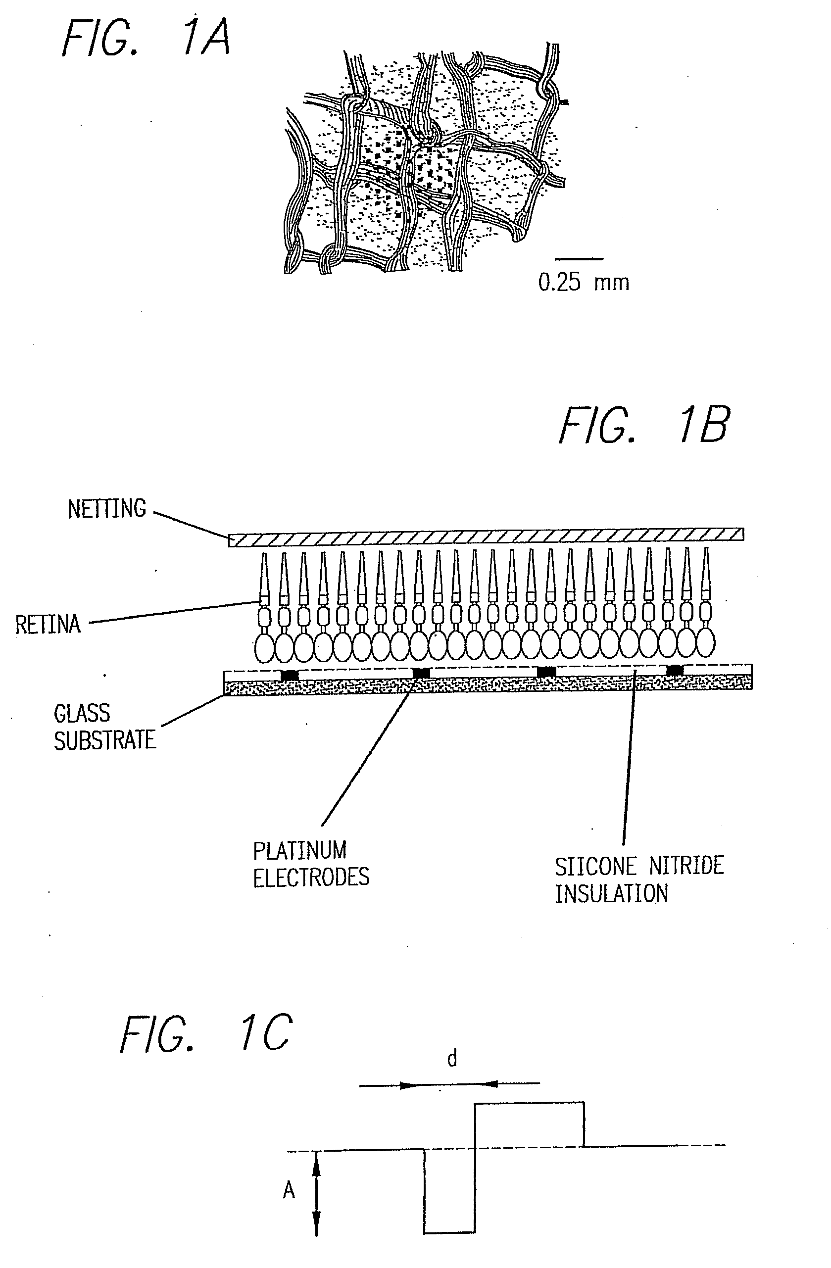 Method and Apparatus for Visual Neural Stimulation