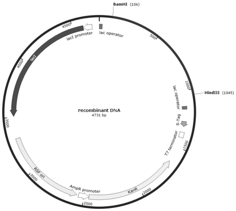 Enzymatic synthesis method of (R)-3-chloro-1-phenyl-propan-1-ol