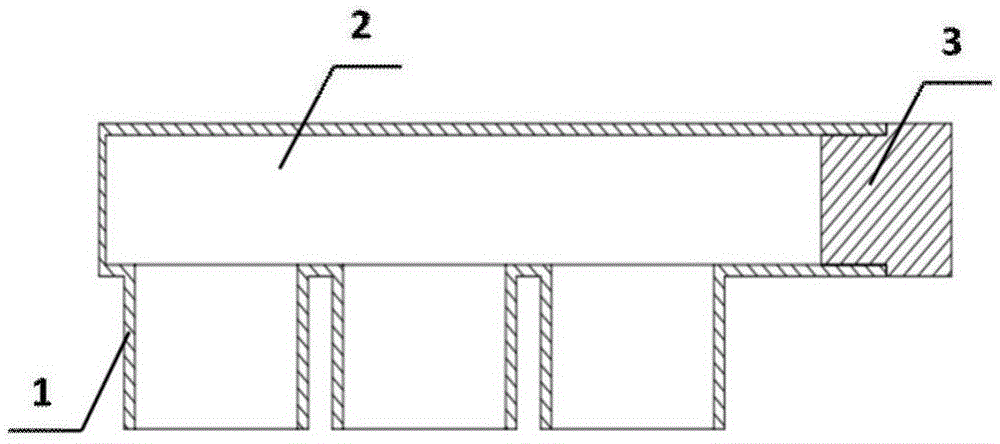 Sealed portable nucleic acid detection apparatus and method thereof