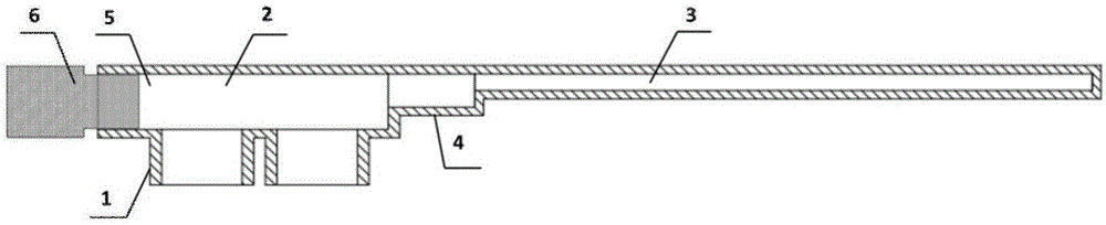 Sealed portable nucleic acid detection apparatus and method thereof