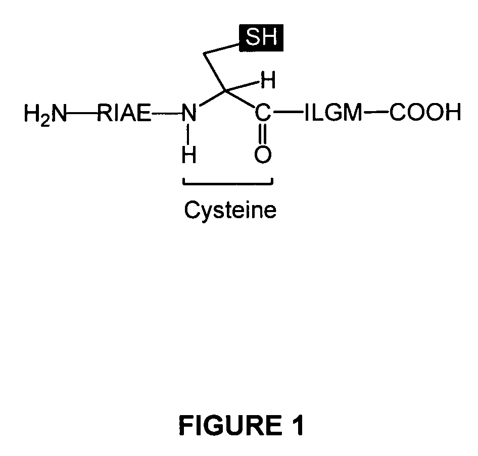 Mutated immunogenic peptides derived from R9M, polynucleotides coding for same and therapeutic uses thereof