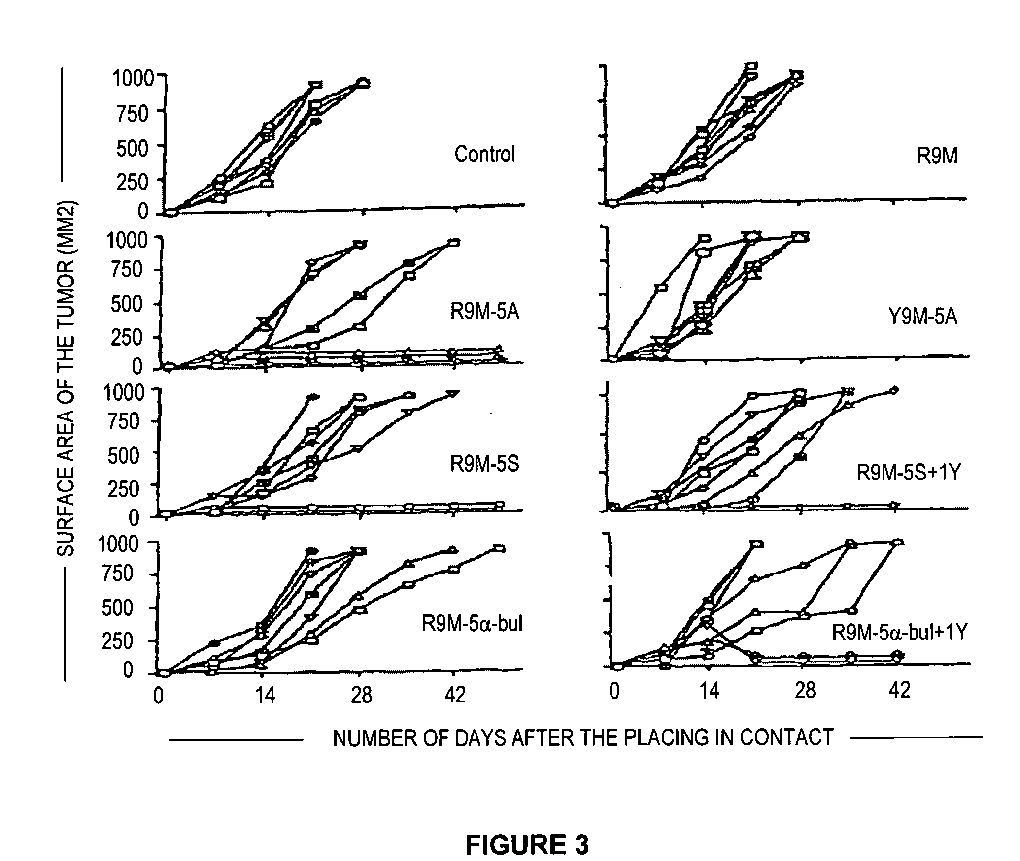 Mutated immunogenic peptides derived from R9M, polynucleotides coding for same and therapeutic uses thereof