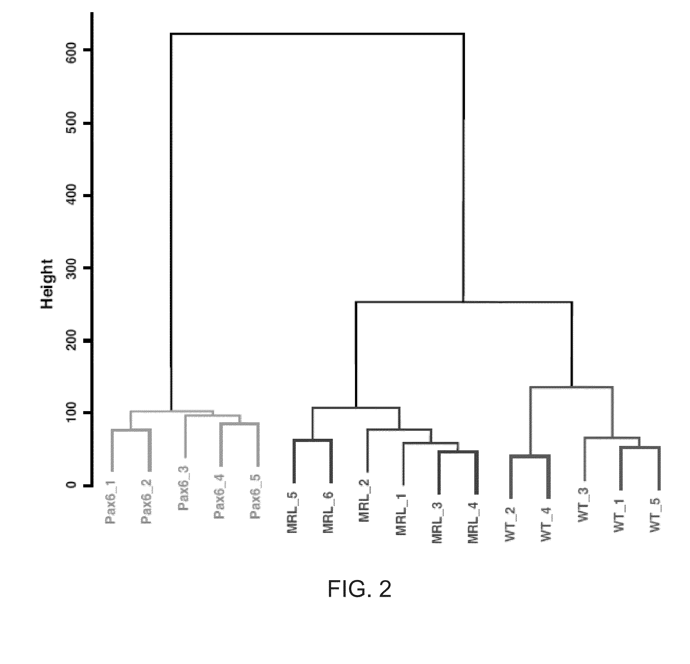 Methods of controlling vascularity using raver2 as a mediator for expression of VEGF receptor sfit1