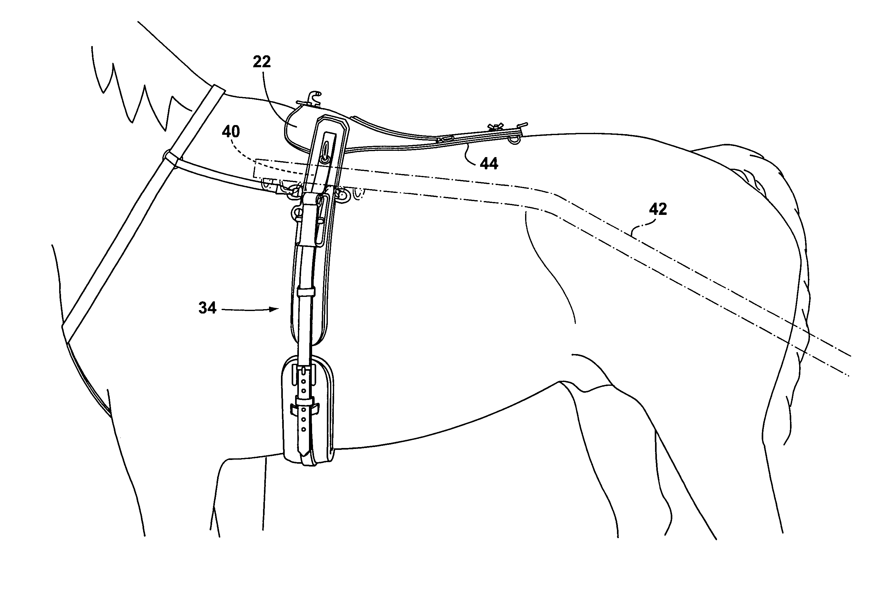 Harness for use in harness racing