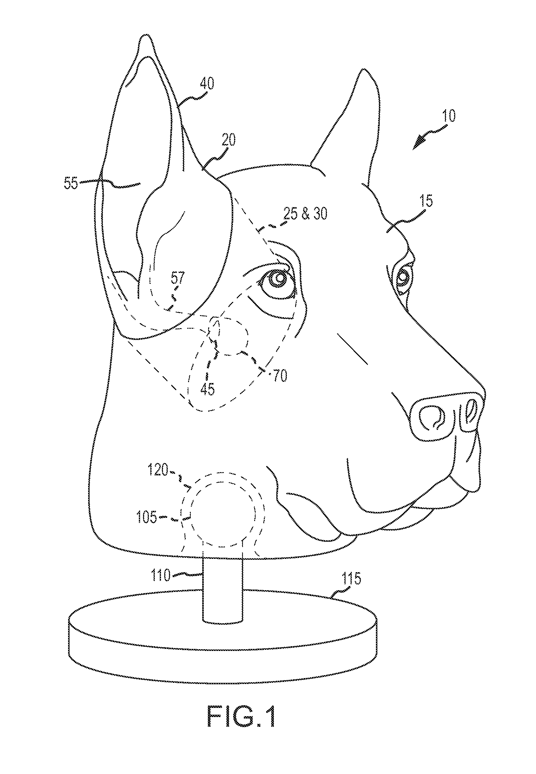 Integrated model for otoscopic procedures