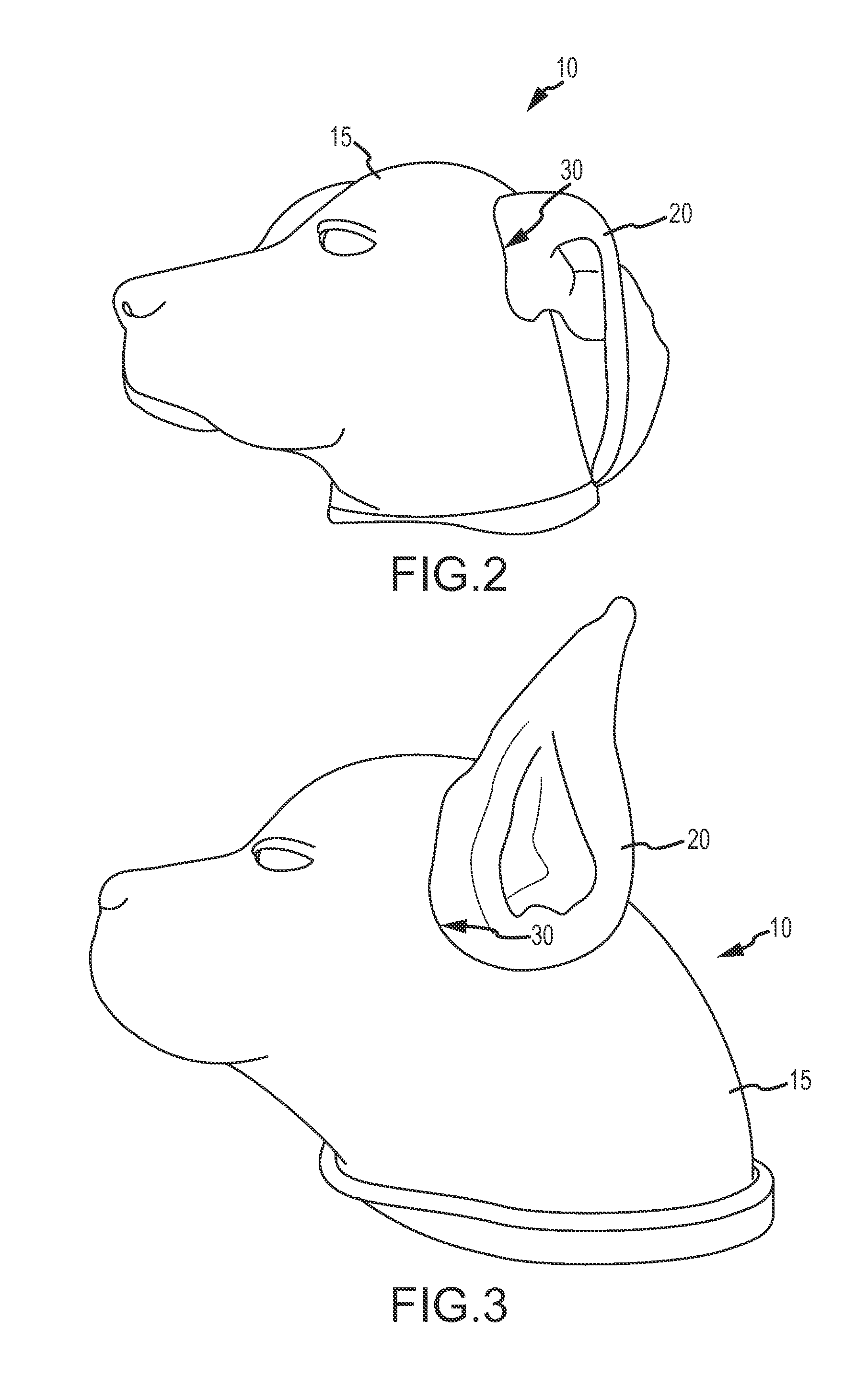 Integrated model for otoscopic procedures