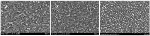 Fouling-resistant antibacterial composite forward-osmosis membrane with positive surface charges and preparation method therefor