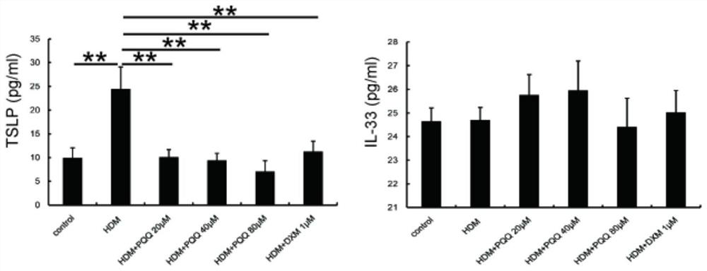 Application of pyrroloquinoline quinone to medicines resistant to asthma and allergic reaction