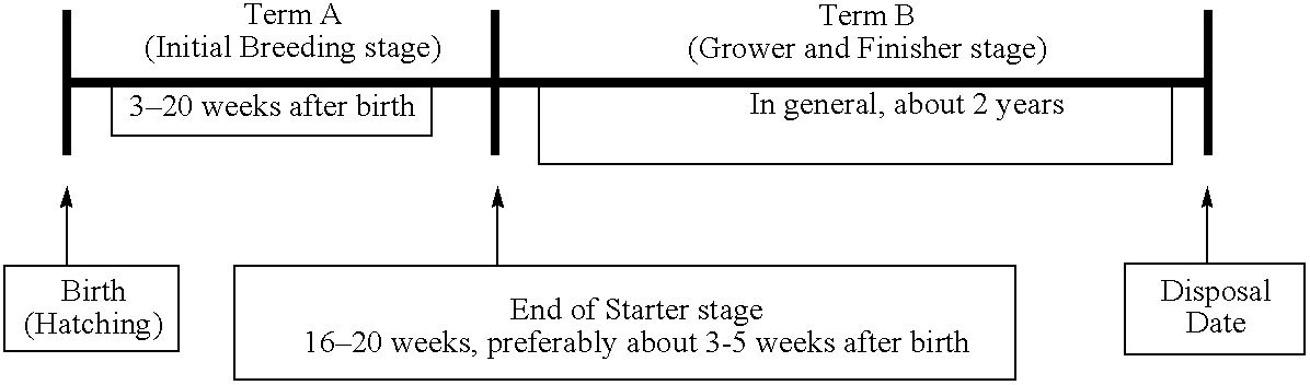 Feed composition and method for breeding animals