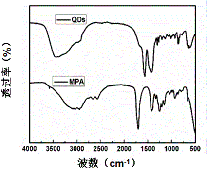 A preparation method of phosphorescent quantum dots mn-zns and its application in iron speciation analysis