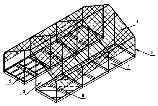 Diffusion breeding and releasing method for preventing myzus persicae through harmonia axyridis