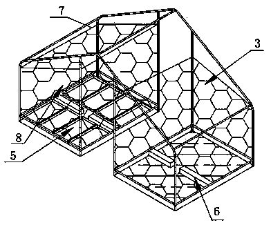 Diffusion breeding and releasing method for preventing myzus persicae through harmonia axyridis