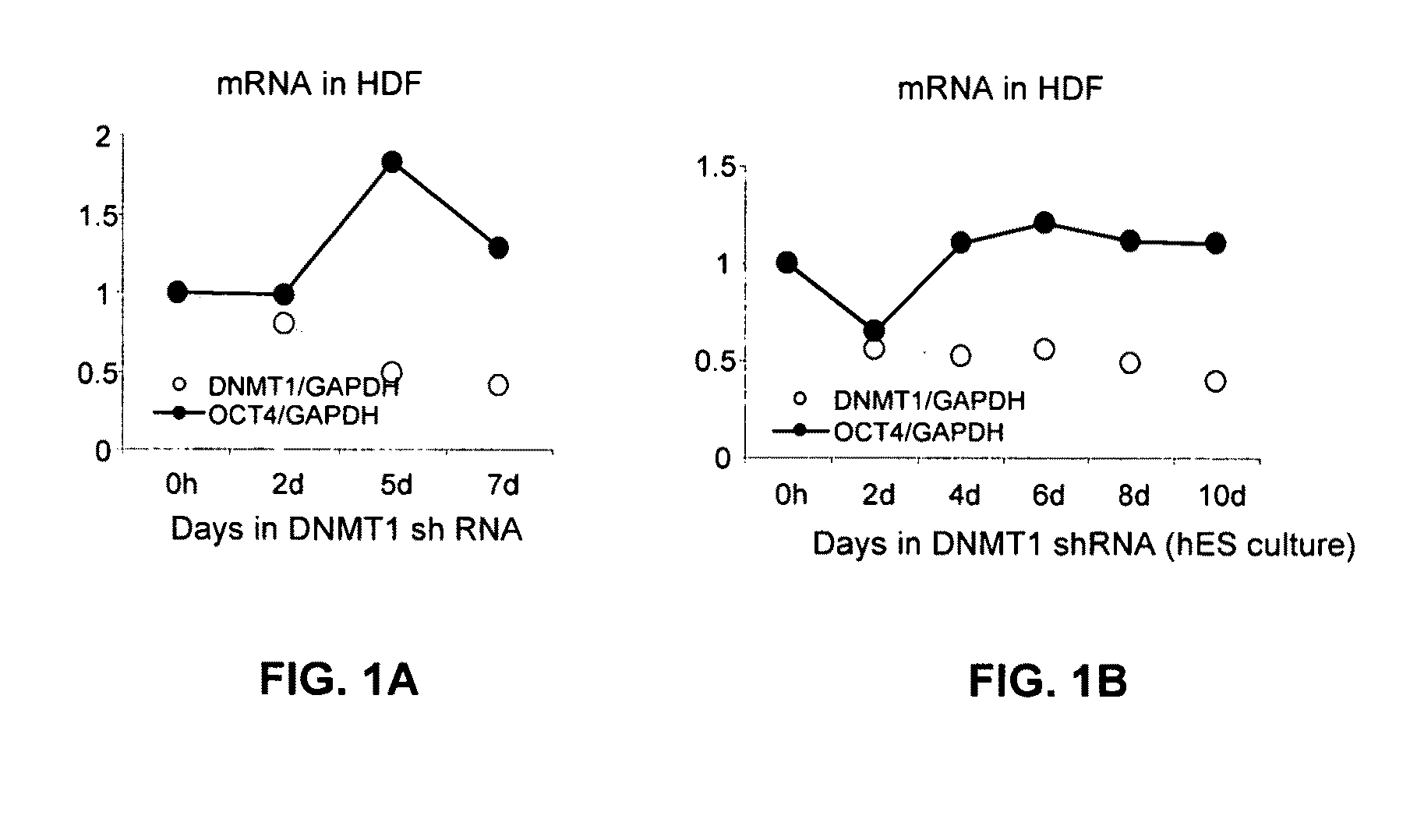 Reprogramming a cell by inducing a pluripotent gene through RNA interference