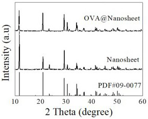 A kind of sheet calcium phosphate vaccine adjuvant and preparation method thereof