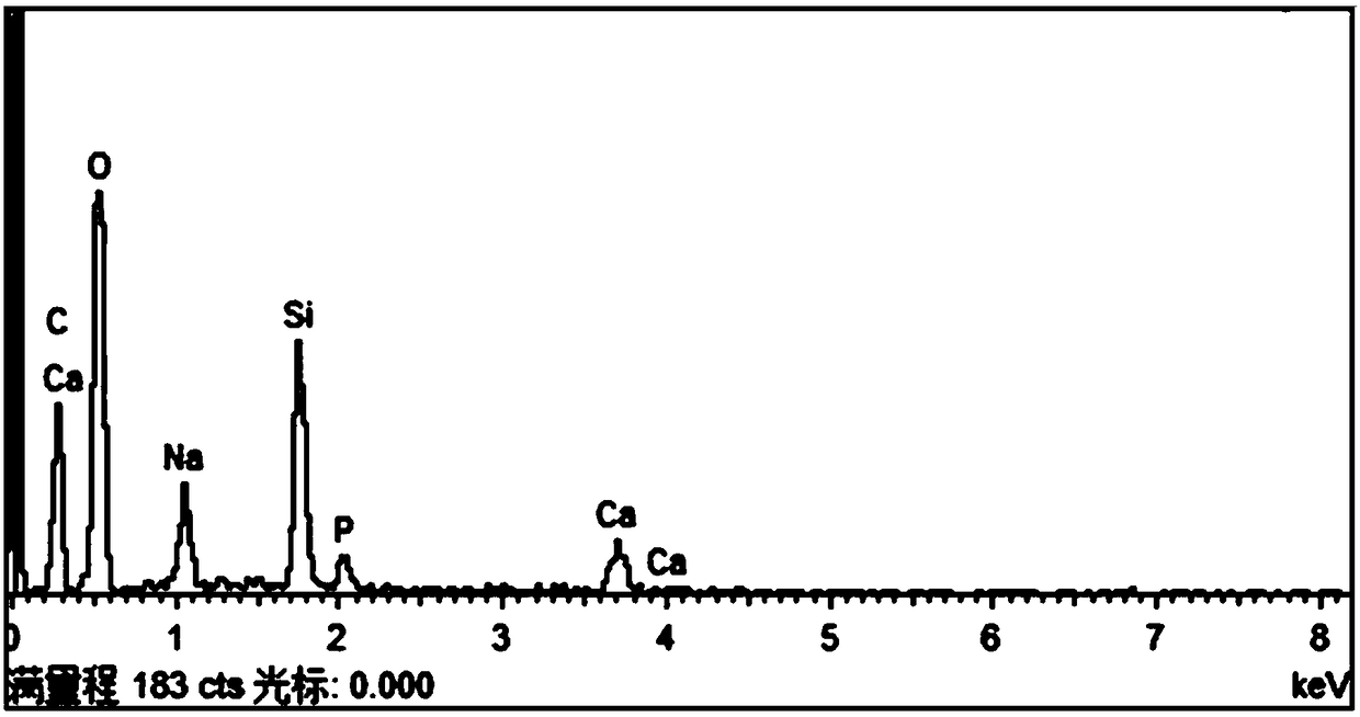 Bioactive glass composite film as well as preparation method and application thereof