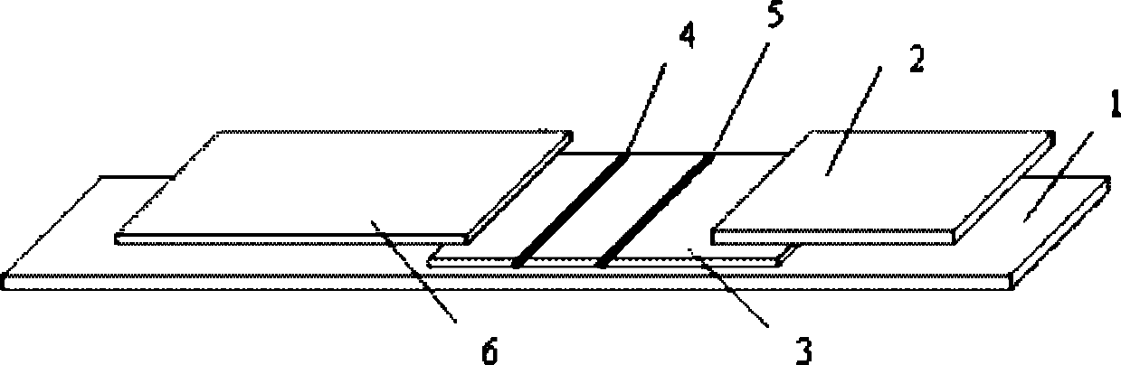 Immune-fluorescence test strip component for rapidly detecting C-reactive protein quantitatively, detection card component produced by same and method for preparing same