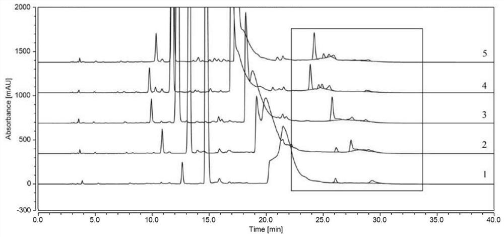 Method for detecting polymer impurities in cefadroxil raw material medicine and preparation of cefadroxil raw material medicine