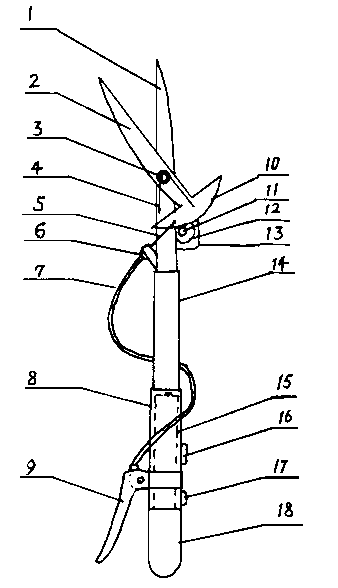 Tree-clearing device under power lines