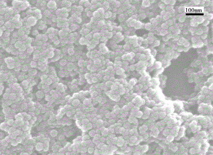 A kind of preparation method of monodisperse nano-starch microspheres with controllable particle size