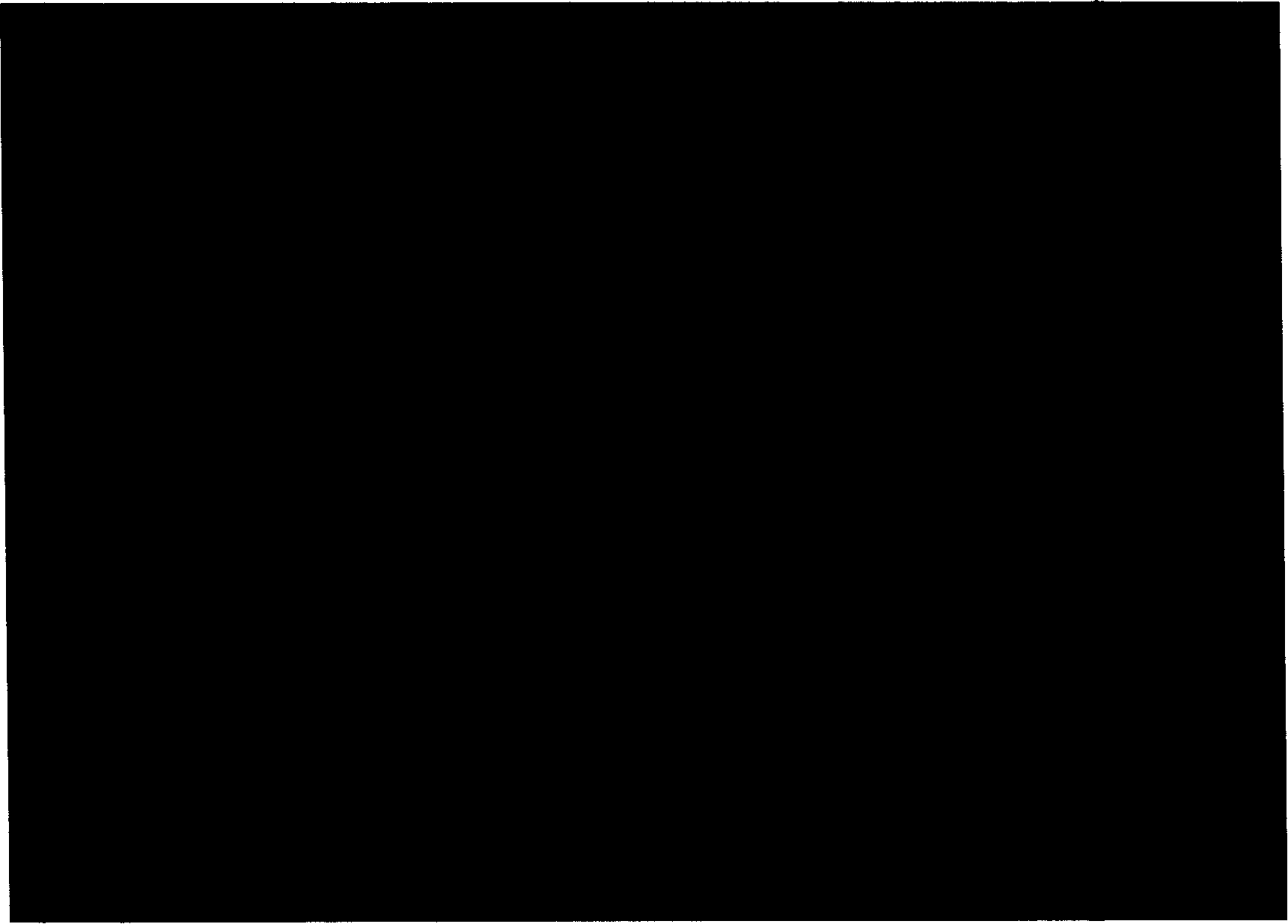 Tobacco S-phase kinase-associated protein 1 gene sequence and its coding protein sequence and application