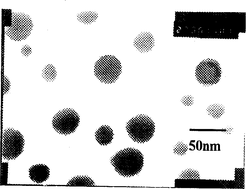 Chitin nanometer granule for programmable releasing various kinds of medicine, and its prepn. method