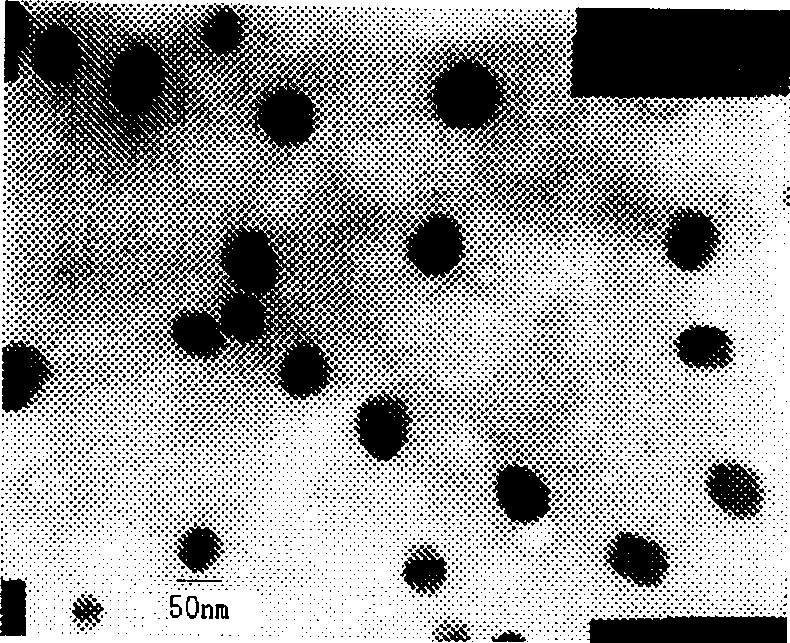 Chitin nanometer granule for programmable releasing various kinds of medicine, and its prepn. method