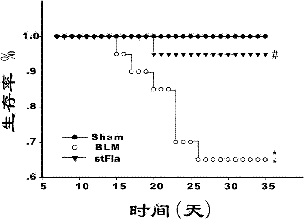 Use of Toll-like receptor 5 (TLR5) agonist stFla in anti-pulmonary fibrosis