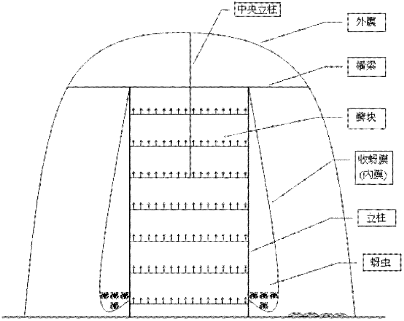 Method for collecting Chinese gallnut spring migrant aphids with double-layer plastic film thermal-insulation shed