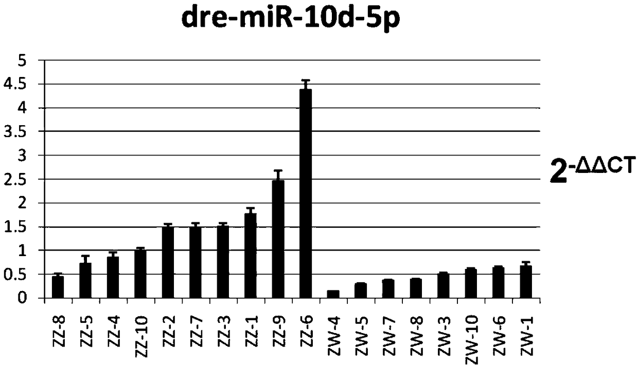 Cynoglossus semilaevis exosome gender difference expression label and kit