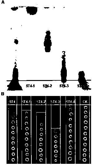 Application of indole-3-carboxaldehyde and its derivatives in control of plant diseases caused by phytopathogenic fungi