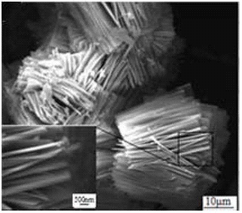 Preparation method for SrB6O10/5H2O:Eu&lt;3&gt; luminous material