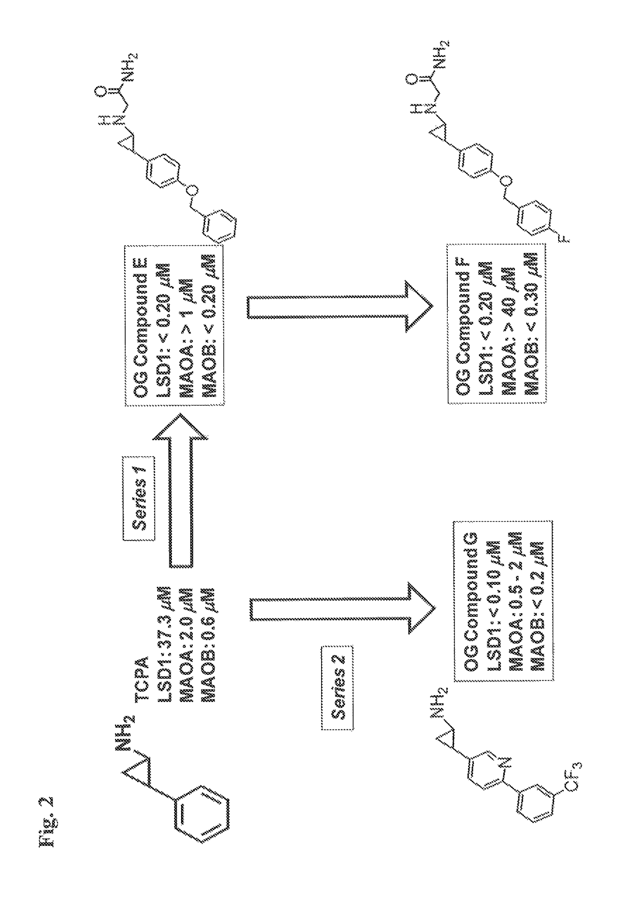 Lysine demethylase inhibitors for myeloproliferative disorders