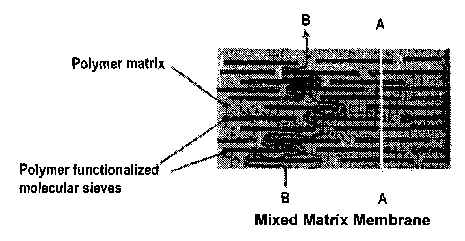 Polymer Functionalized Molecular Sieve/Polymer Mixed Matrix Membranes