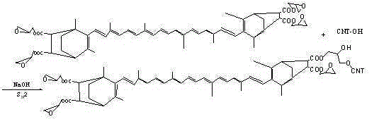 Modified carbon nanotube treatment method