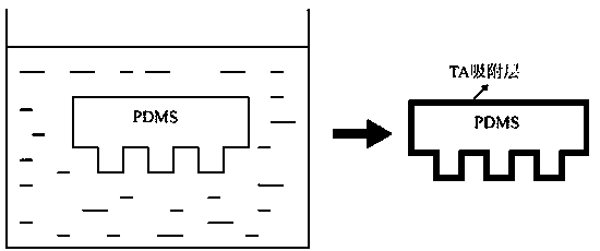 Application of tannic acid serving as micro-contact printing ink to cell patterning