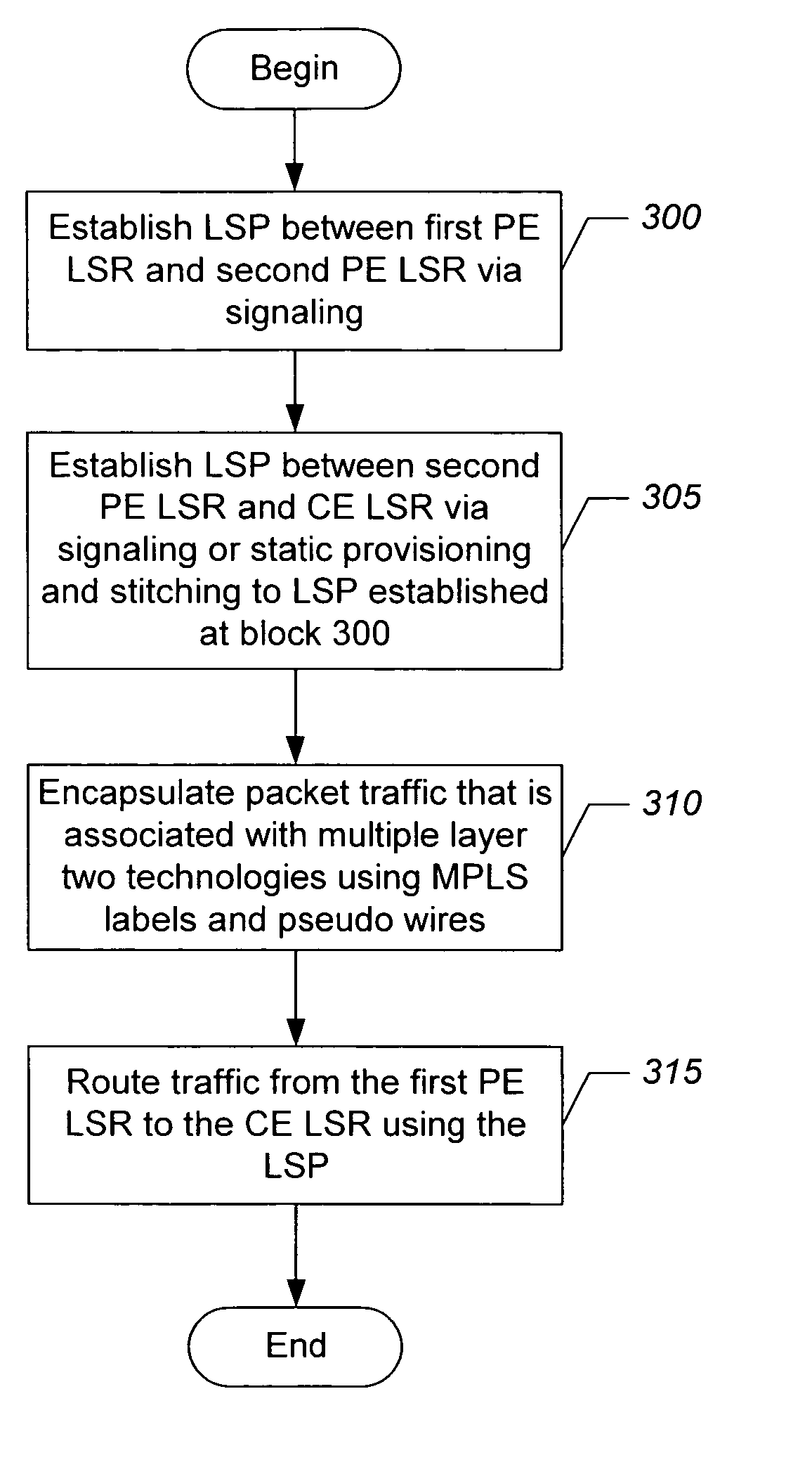 Methods, systems, and computer program products for encapsulating packet traffic associated with multiple layer two technologies