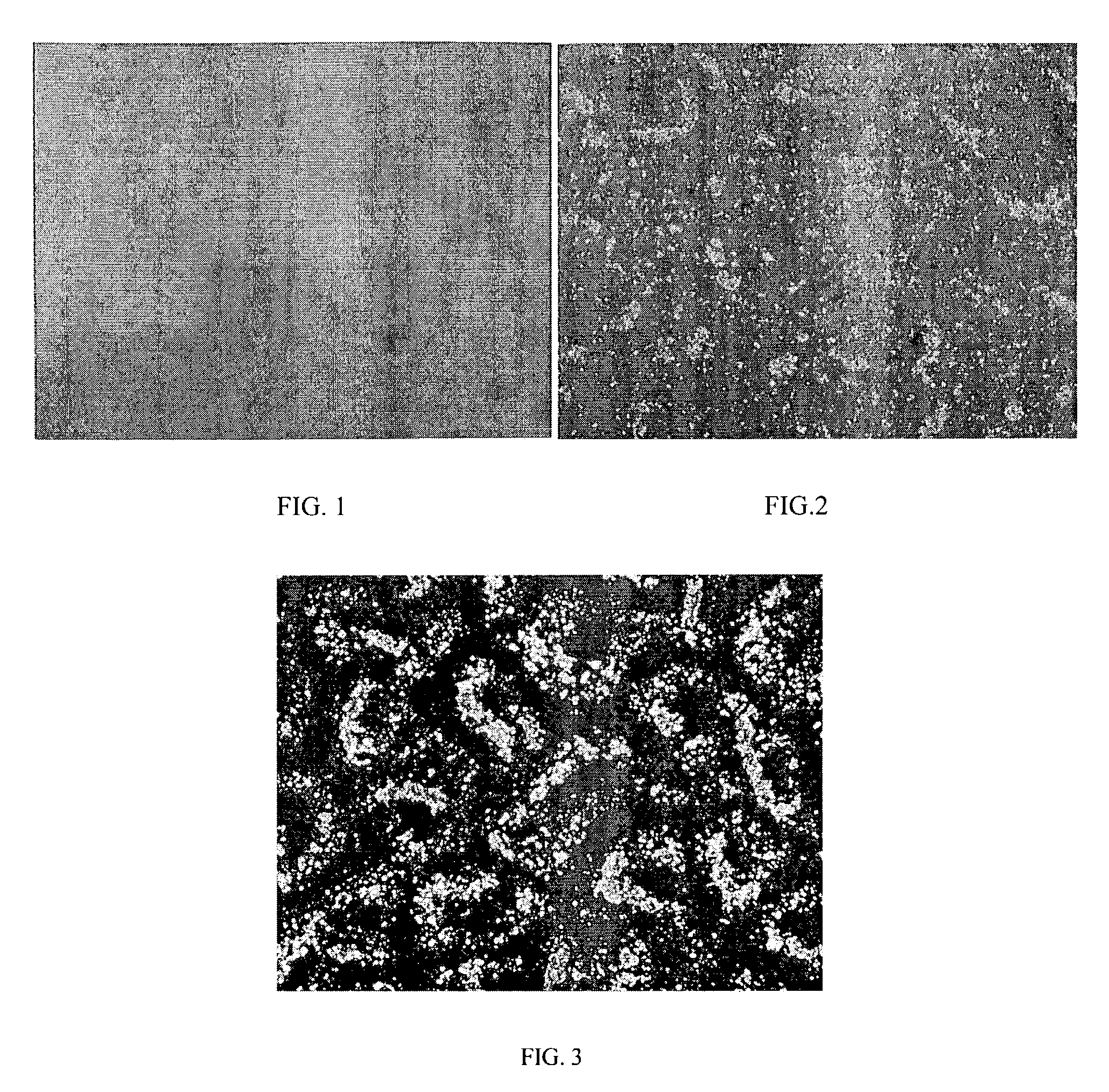 Stent coatings comprising hydrophilic additives