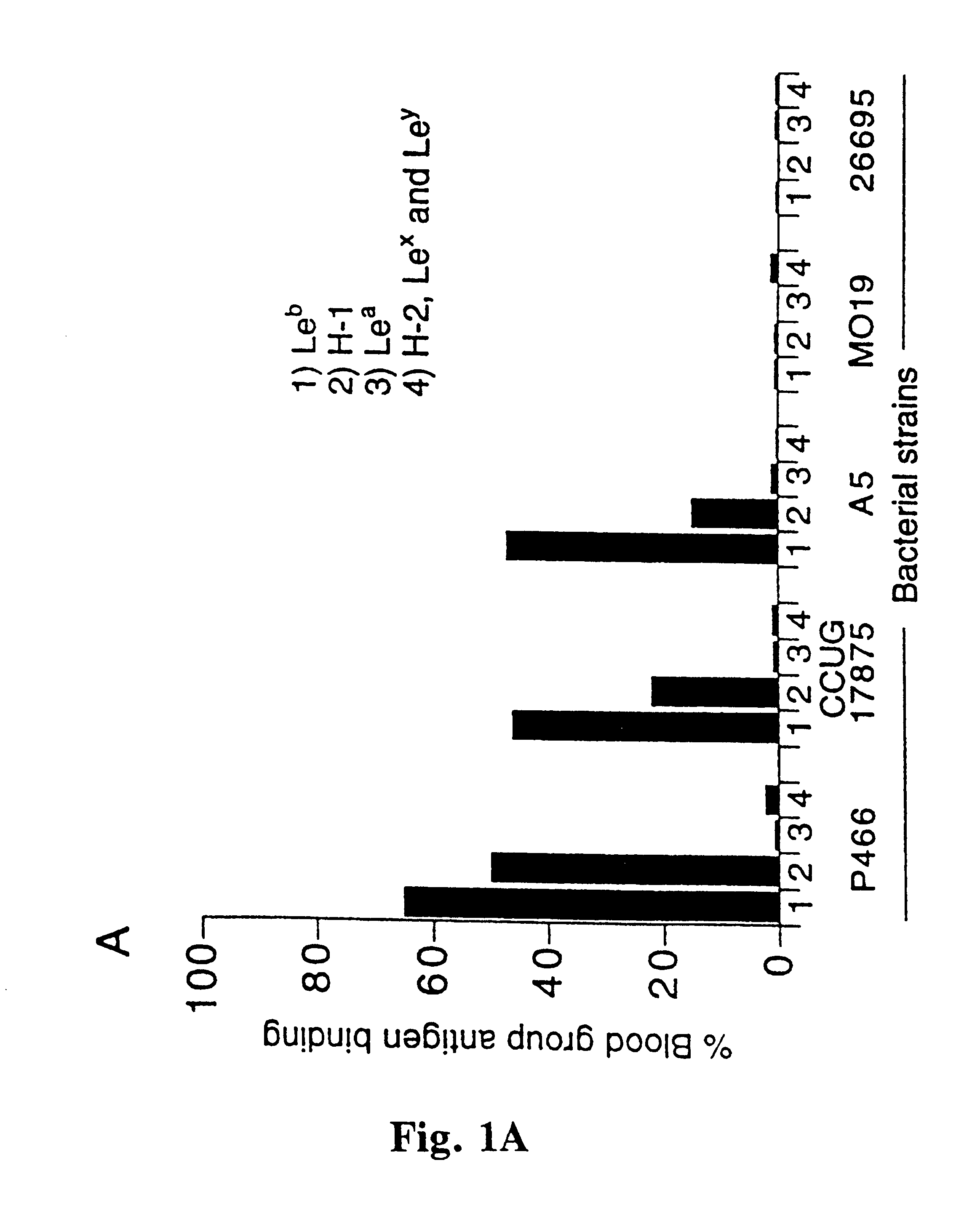 Helicobacter pylori adhesin binding group antigen