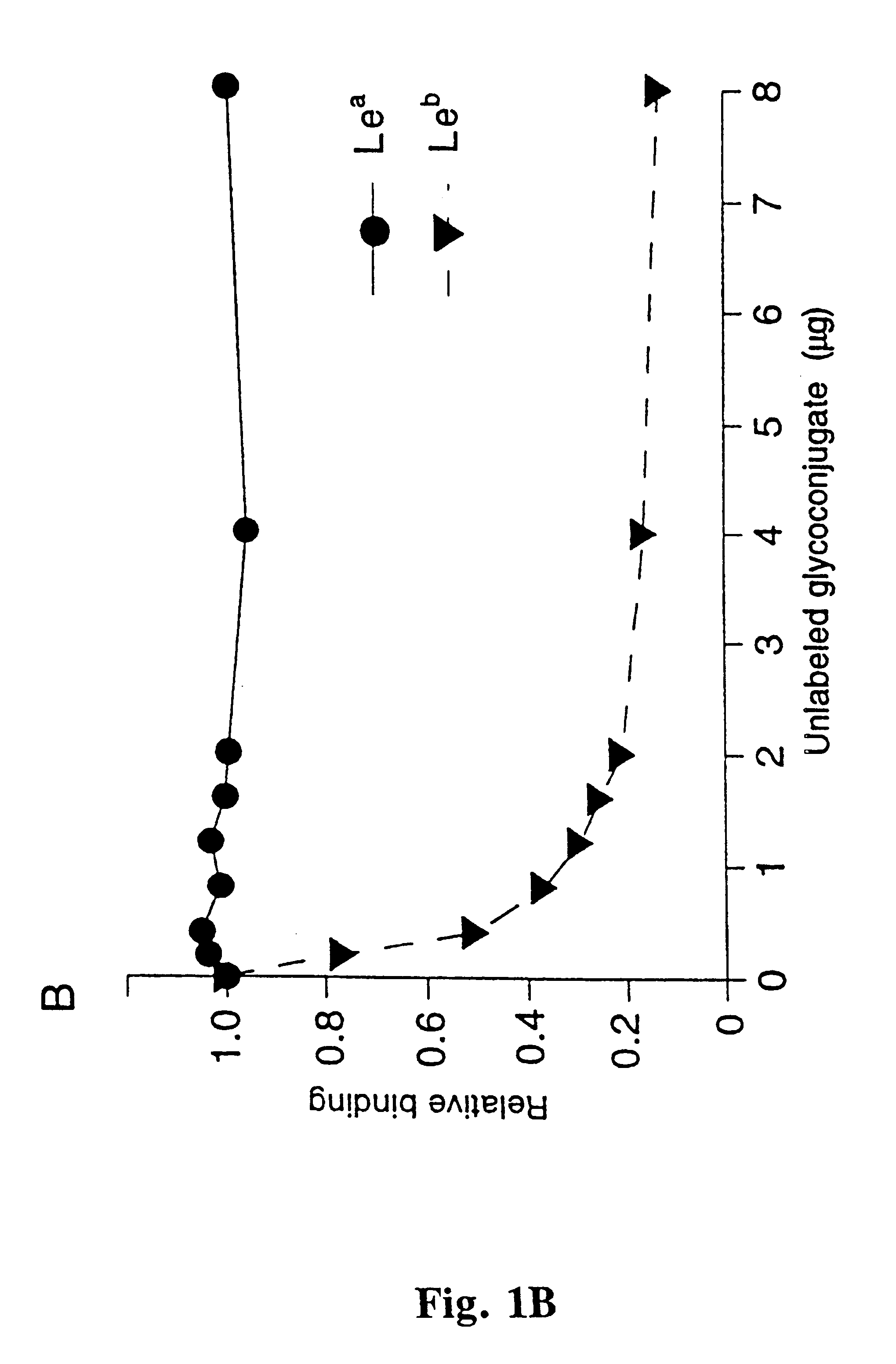 Helicobacter pylori adhesin binding group antigen