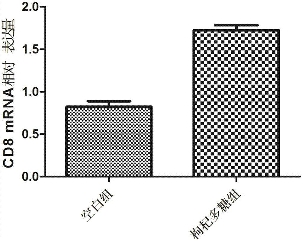 Experimental method of lycium barbarum polysaccharide in inhibition of glioma growth by regulating blood brain barrier