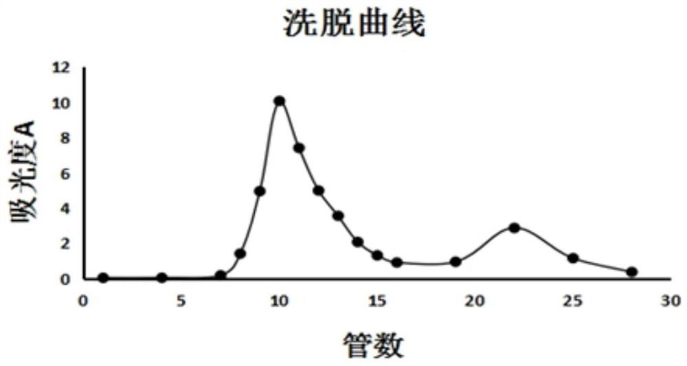 Extraction and purification method of black soybean glycoprotein